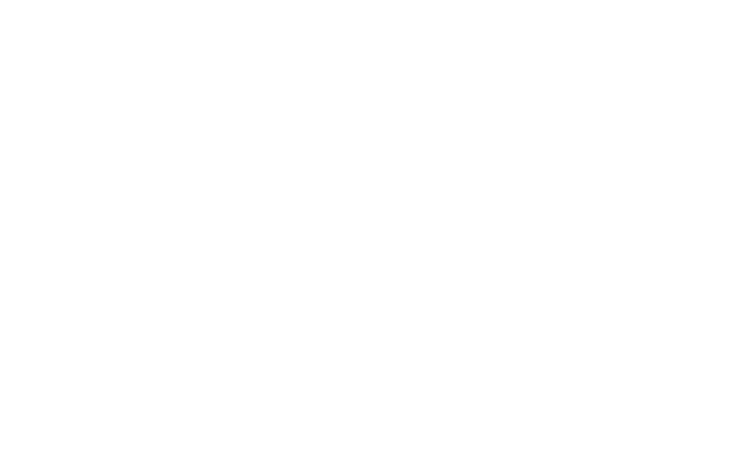 人間たちの自然破壊により、多くの妖精たちが居場所を失っていた。森が開発され、居場所を失った黒ネコの妖精シャオヘイ。そこに手を差し伸べたのは同じ妖精のフーシーだった。フーシーはシャオヘイを仲間に加え、住処である人里から遠く離れた島へと案内する。
　その島に、人間でありながら最強の執行人ムゲンが現れる。フーシーたちの不穏な動きを察知し、捕えにきたのだ。戦いの中、シャオヘイはムゲンに捕まってしまう。なんとか逃れたフーシーたちはシャオヘイの奪還を誓い、かねてから計画していた「ある作戦」を始める。一方、ムゲンはシャオヘイとともに、人と共存する妖精たちが暮らす会館を目指す。シャオヘイは、新たな居場所を見つけることができるのか。そして、人と妖精の未来は、果たして――