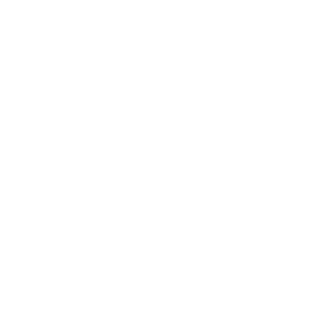 人間たちの自然破壊により、多くの妖精たちが居場所を失っていた。森が開発され、居場所を失った黒ネコの妖精シャオヘイ。そこに手を差し伸べたのは同じ妖精のフーシーだった。フーシーはシャオヘイを仲間に加え、住処である人里から遠く離れた島へと案内する。
　その島に、人間でありながら最強の執行人ムゲンが現れる。フーシーたちの不穏な動きを察知し、捕えにきたのだ。戦いの中、シャオヘイはムゲンに捕まってしまう。なんとか逃れたフーシーたちはシャオヘイの奪還を誓い、かねてから計画していた「ある作戦」を始める。一方、ムゲンはシャオヘイとともに、人と共存する妖精たちが暮らす会館を目指す。シャオヘイは、新たな居場所を見つけることができるのか。そして、人と妖精の未来は、果たして――